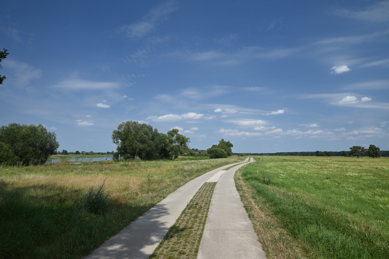 Radtour von der Elbe an die Saale