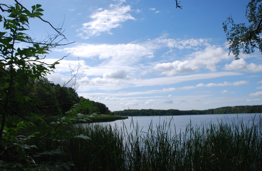 Großer Mochowsee im Spreewald